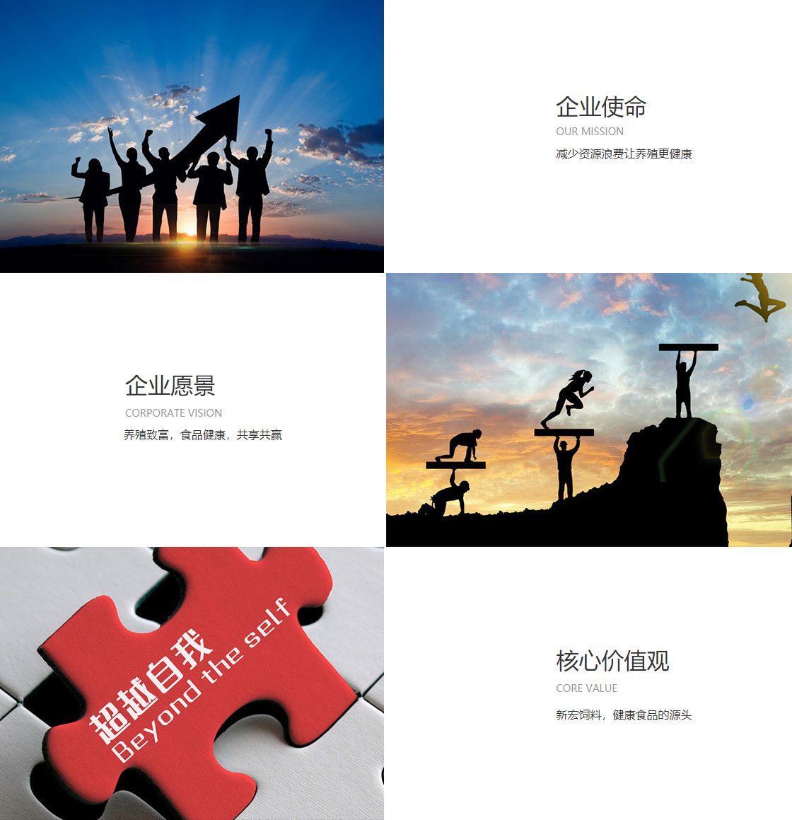 米兰（中国）milan·官方网站(图1)